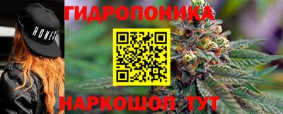 гидра Лесной
