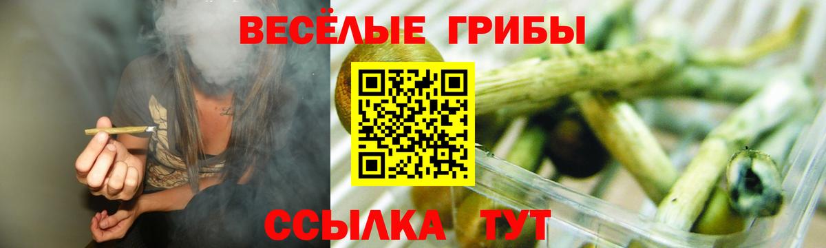 Псилоцибиновые грибы мицелий  Вход с VPN  Воронеж 